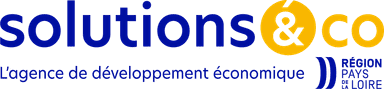 Solution & Co